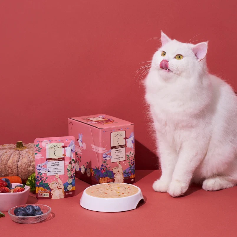 RonRon 雞肉三文魚蔬菜湯成貓主食包 75g