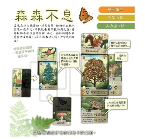 森森不息 Forest Shuffle 繁體中文版