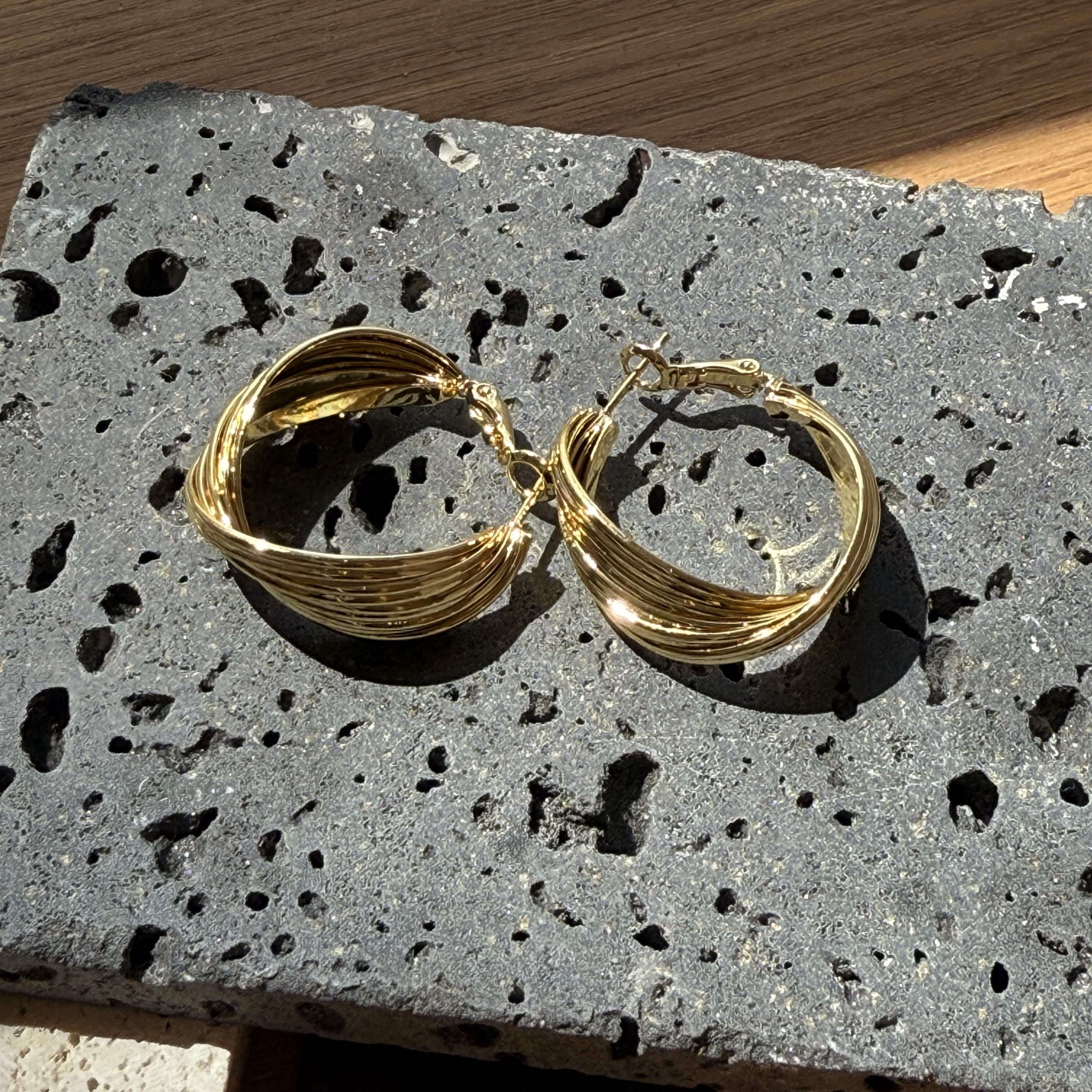 Western Twisted Style Earring