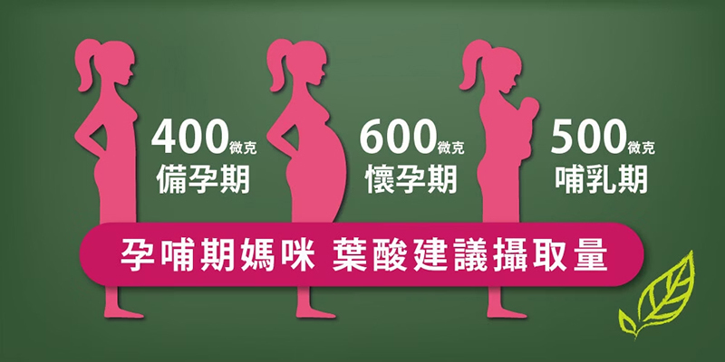 孕哺兒，媽媽葉酸口嚼錠
