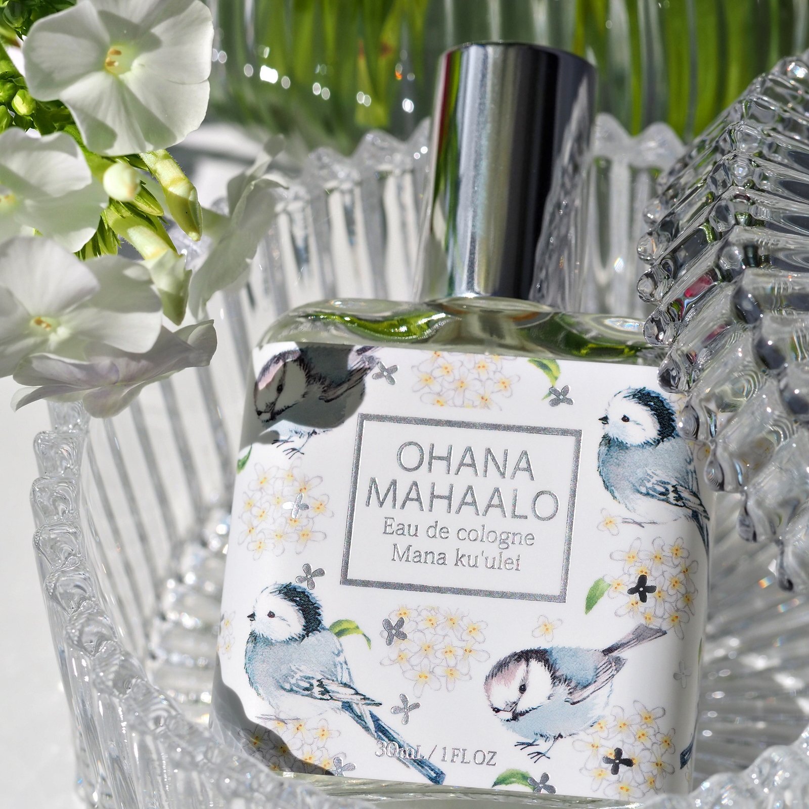 OHANA MAHAALO 銀木精靈 輕香水30ml