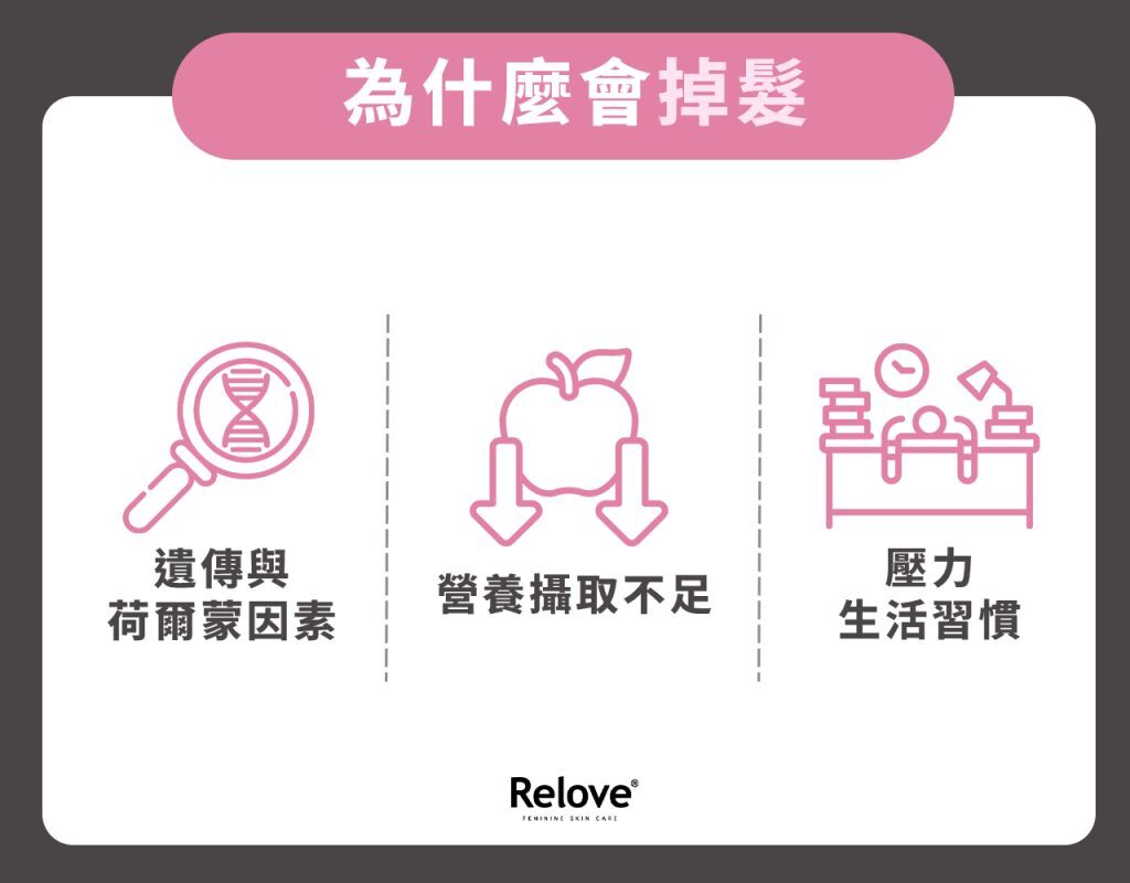 掉髮要補充什麼