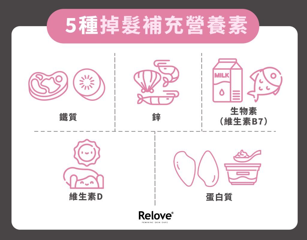 掉髮要補充什麼