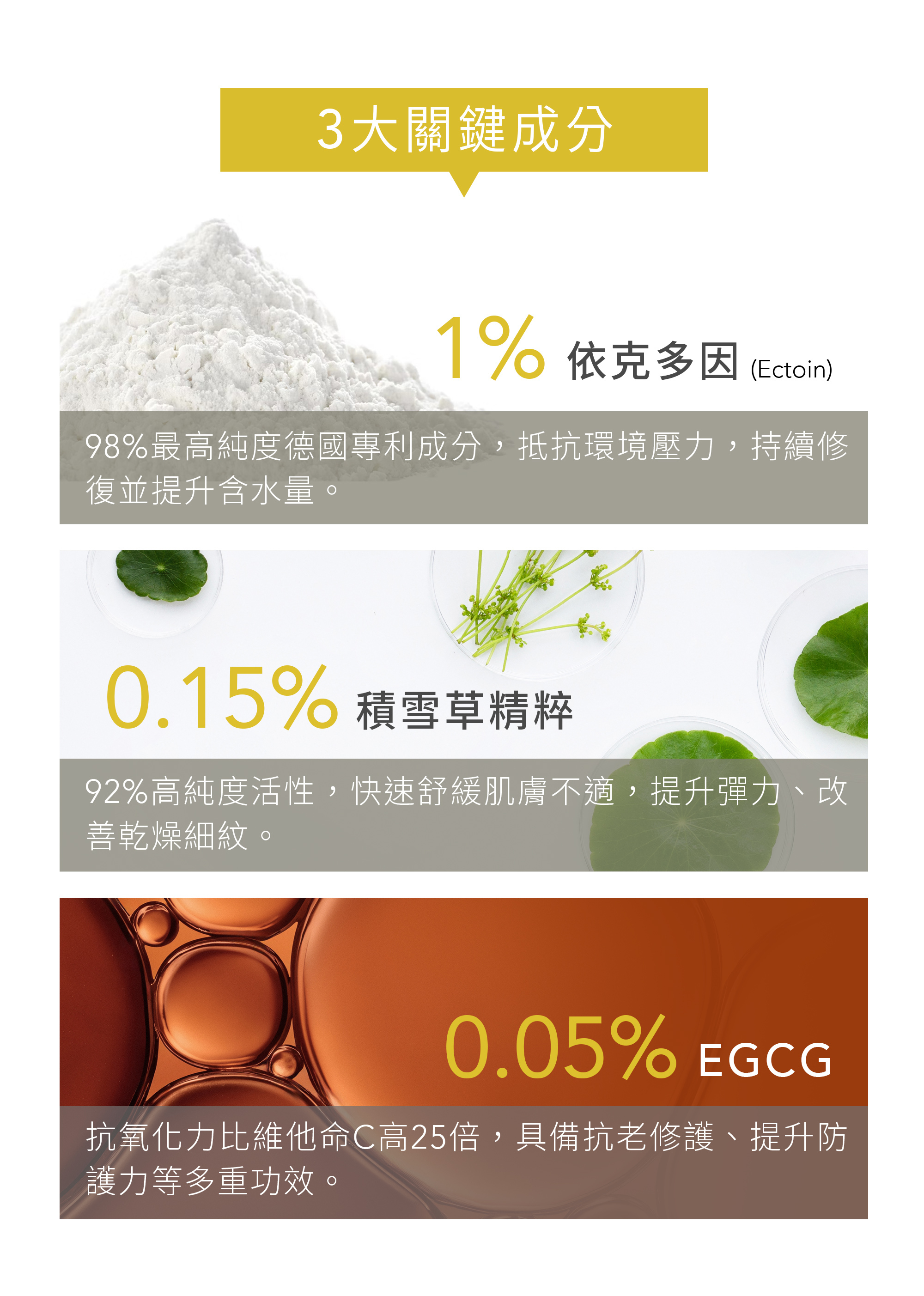 本質研究修敏-07