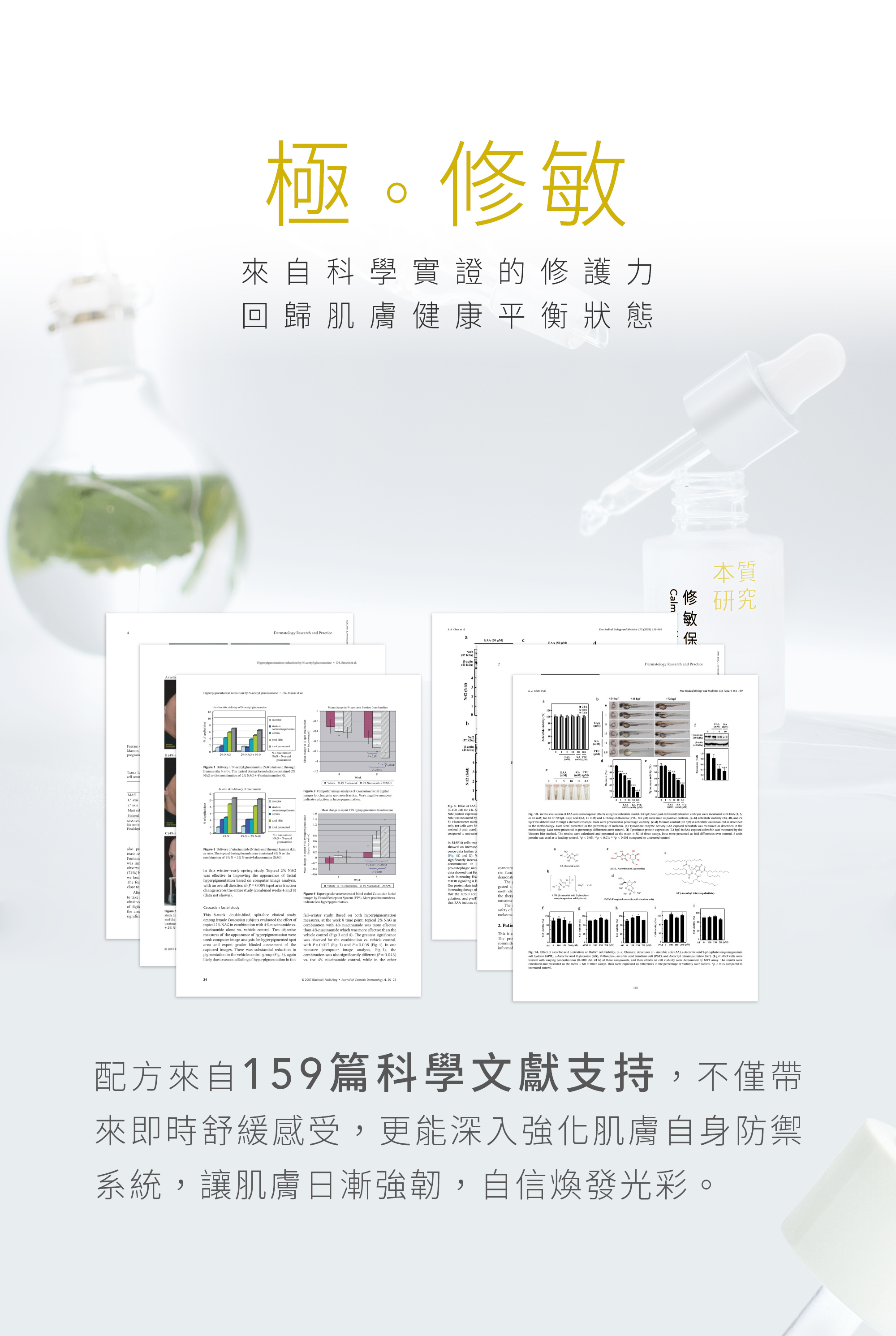 本質研究修敏-03