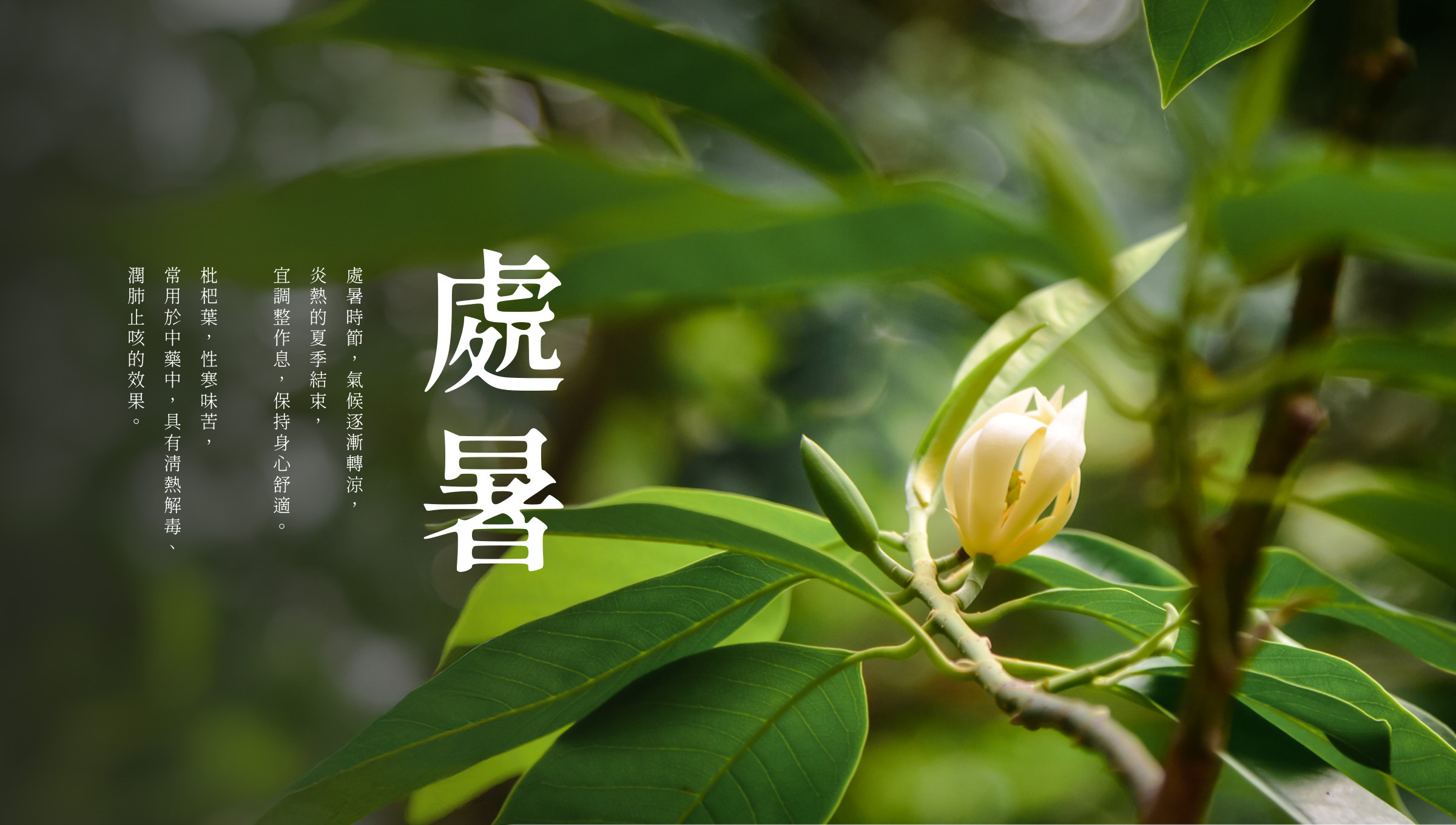 2025處暑節氣，告別暑氣遇逢鬼月，3大習俗2大禁忌、養生技巧帶你一次看