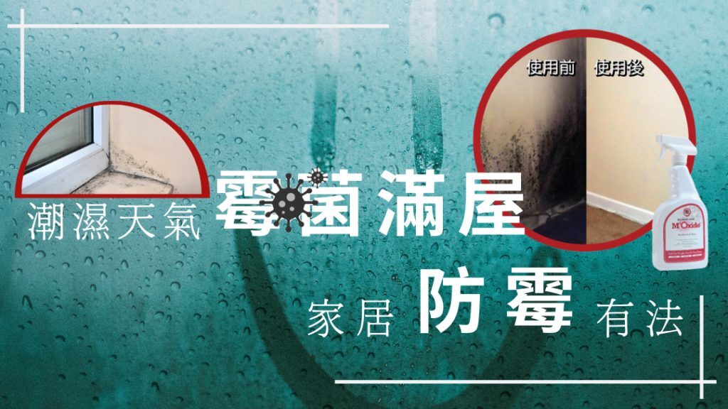 潮湿天气家居防霉方法与霉菌过敏预防