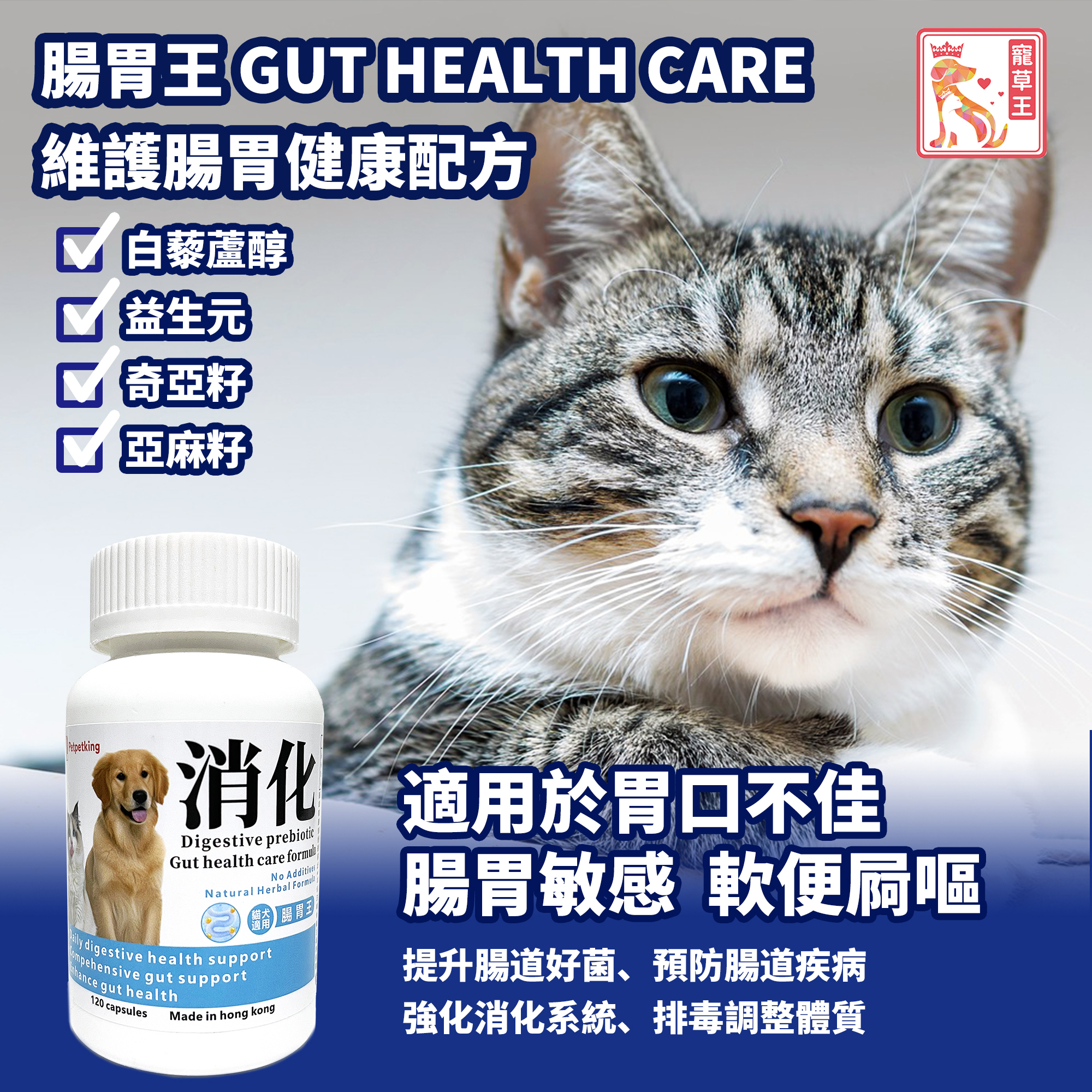 Pet Pet King Gut Health Care 120 Capsules