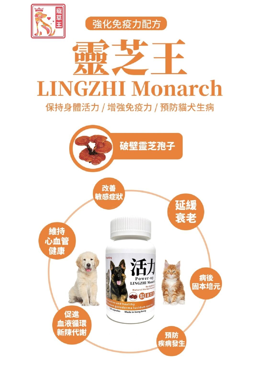 Pet Pet King LINGZHI Monarch 120 Capsules