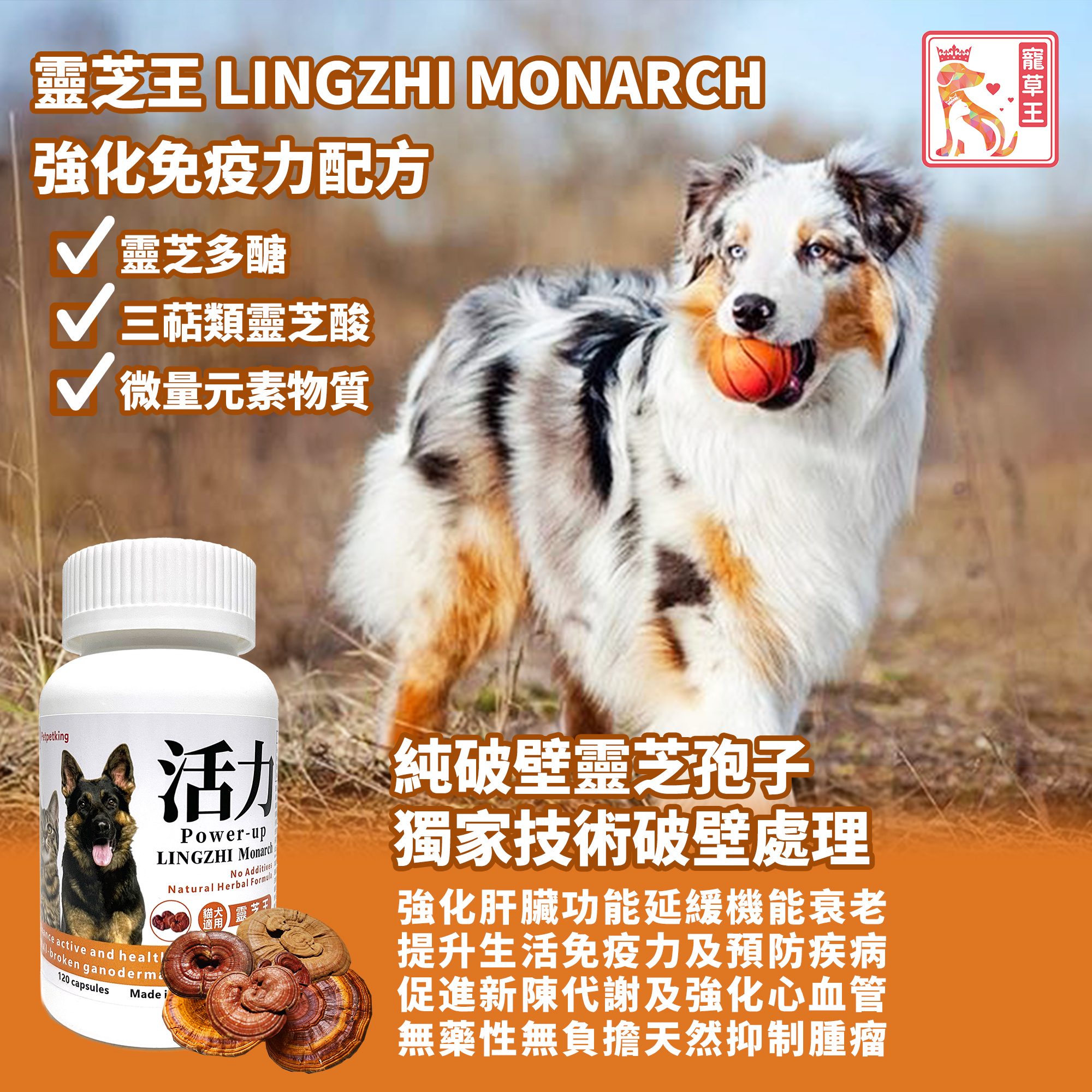 Pet Pet King LINGZHI Monarch 120 Capsules
