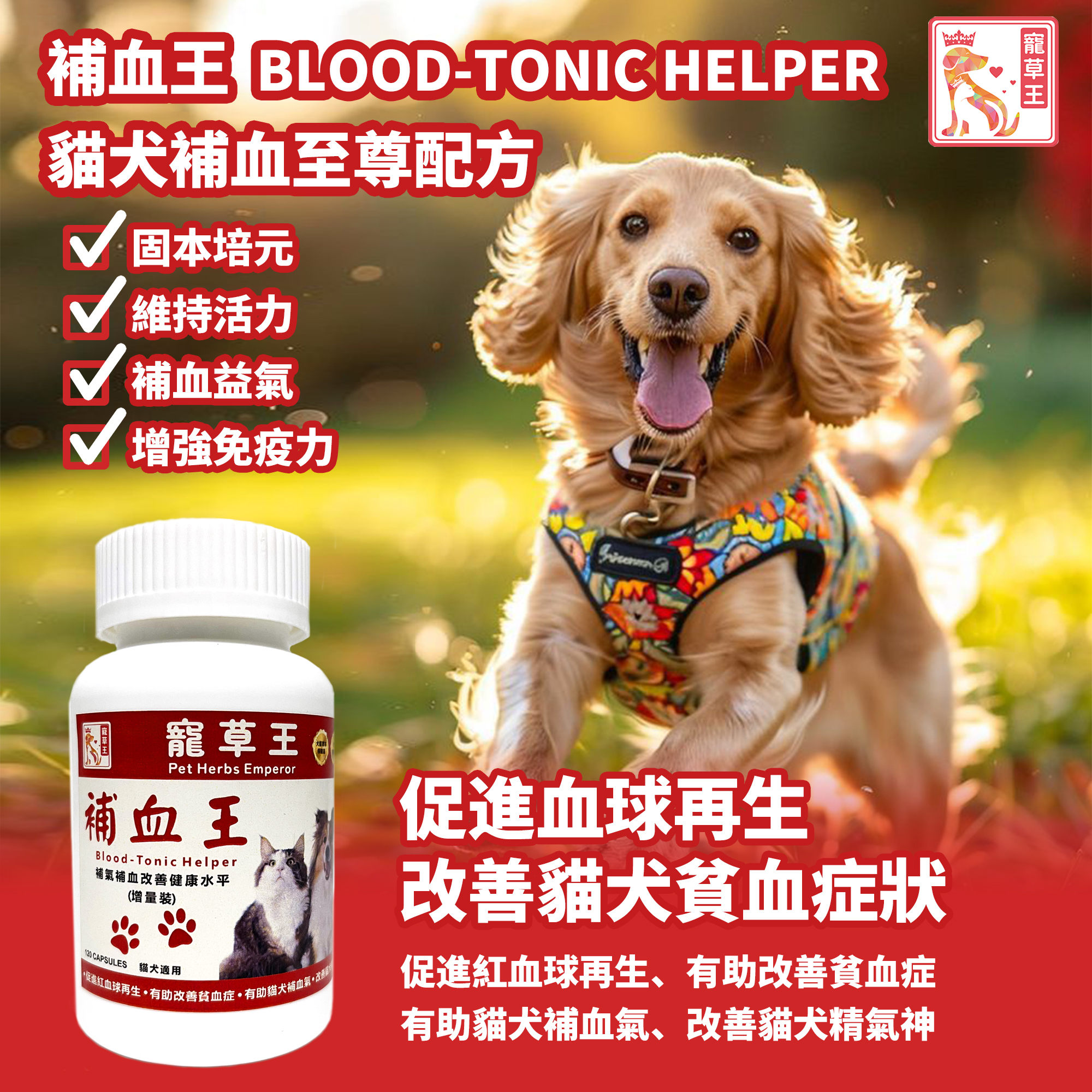 Pet Pet King Blood-Tonic Helper 120 Capsules