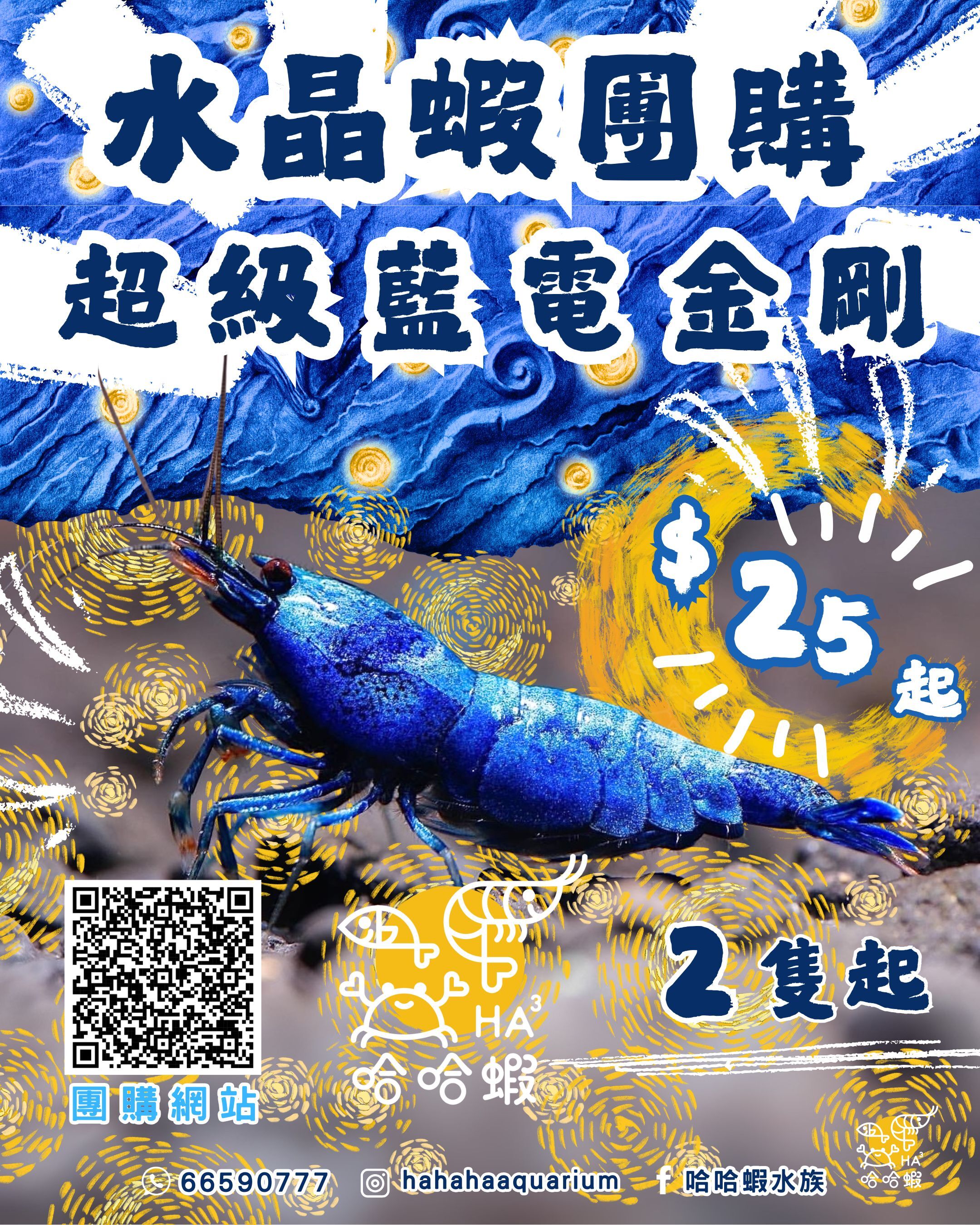 超級藍電金剛水晶蝦 ｜ Super Blue Bolt Shrimp [團購]