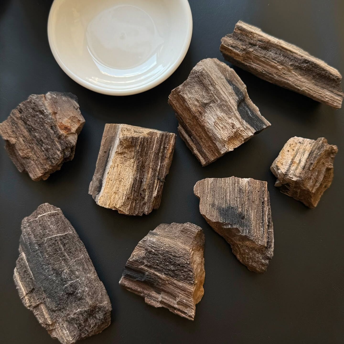 [原石] 德國糖霜木化石 原礦