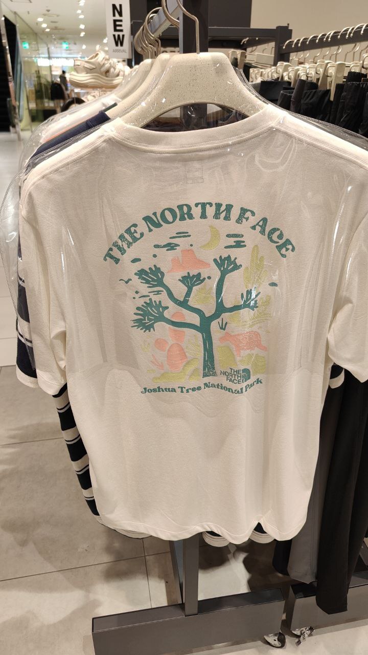 [K] THENORTHFACE CREAM M'S EVERGREEN S/S ROUND TEE 1, NT7UR51B-CRE (KTNF12)