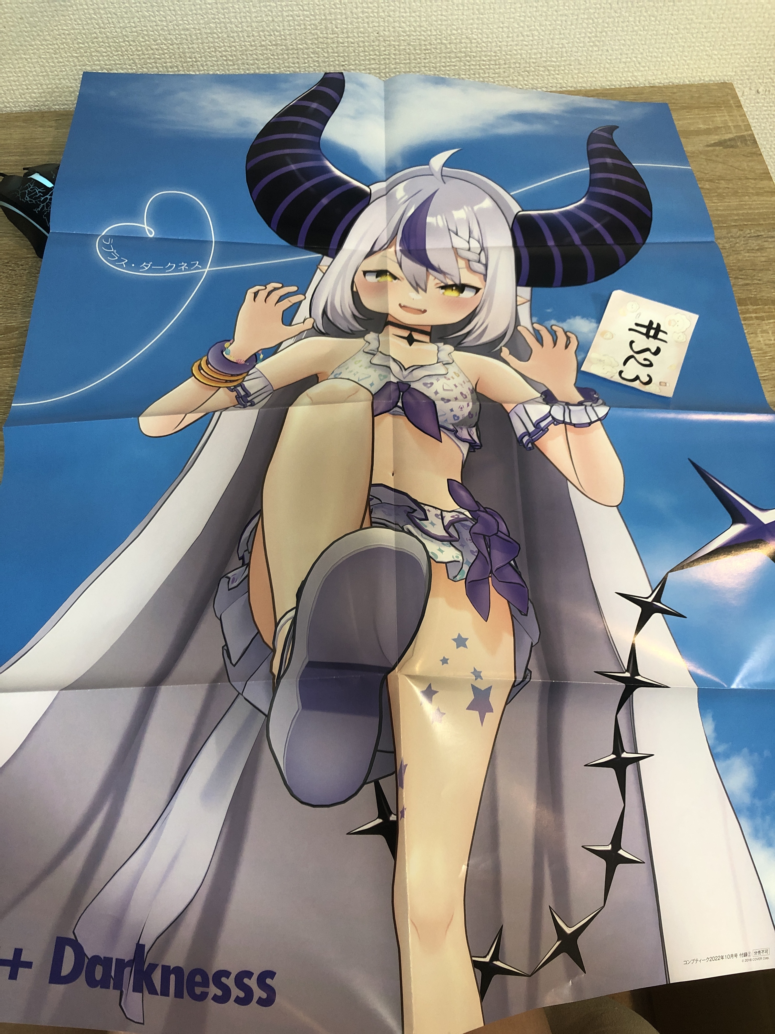 HOLOLIVE 拉普 POSTER#323