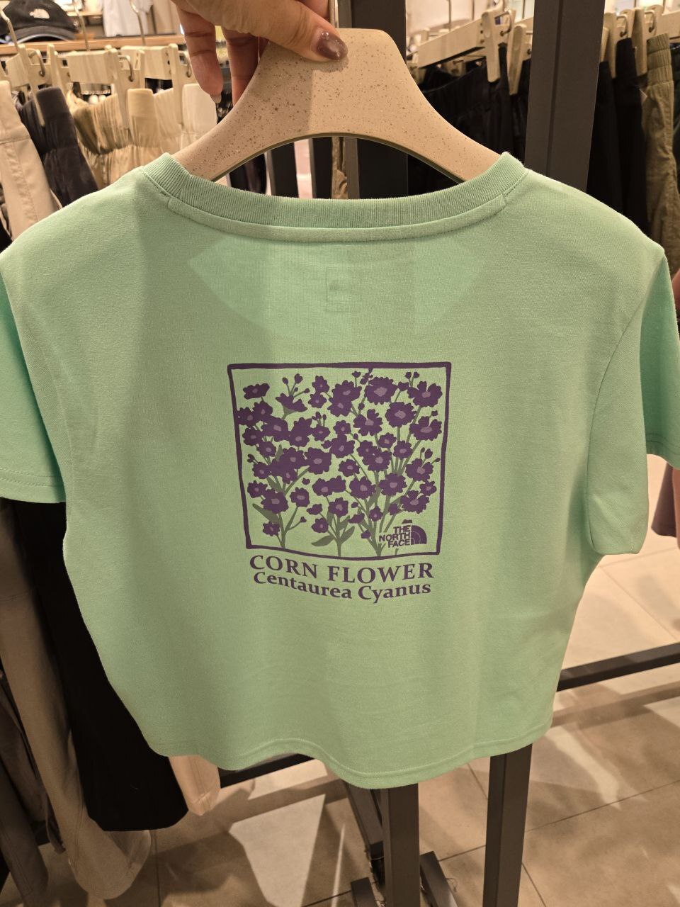 [K] THENORTHFACE PISTACHIO GREEN W'S FLORET S/S ROUND TEE, NT7UR32E-PIG (KTNF82)