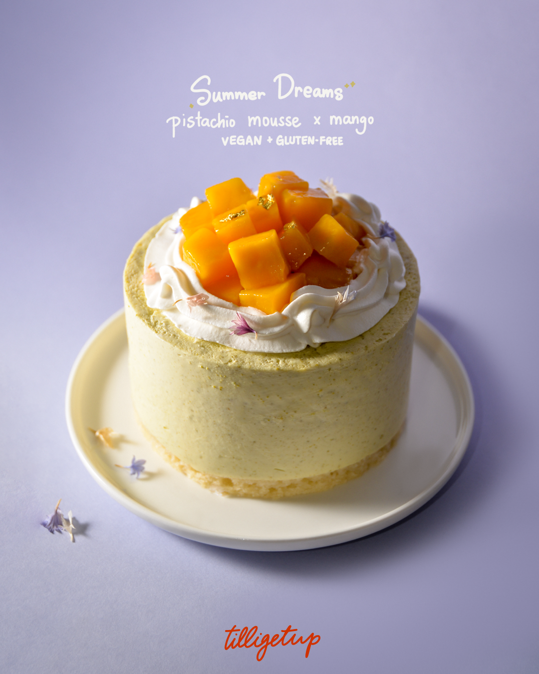 ﹝summer dreams💭﹞