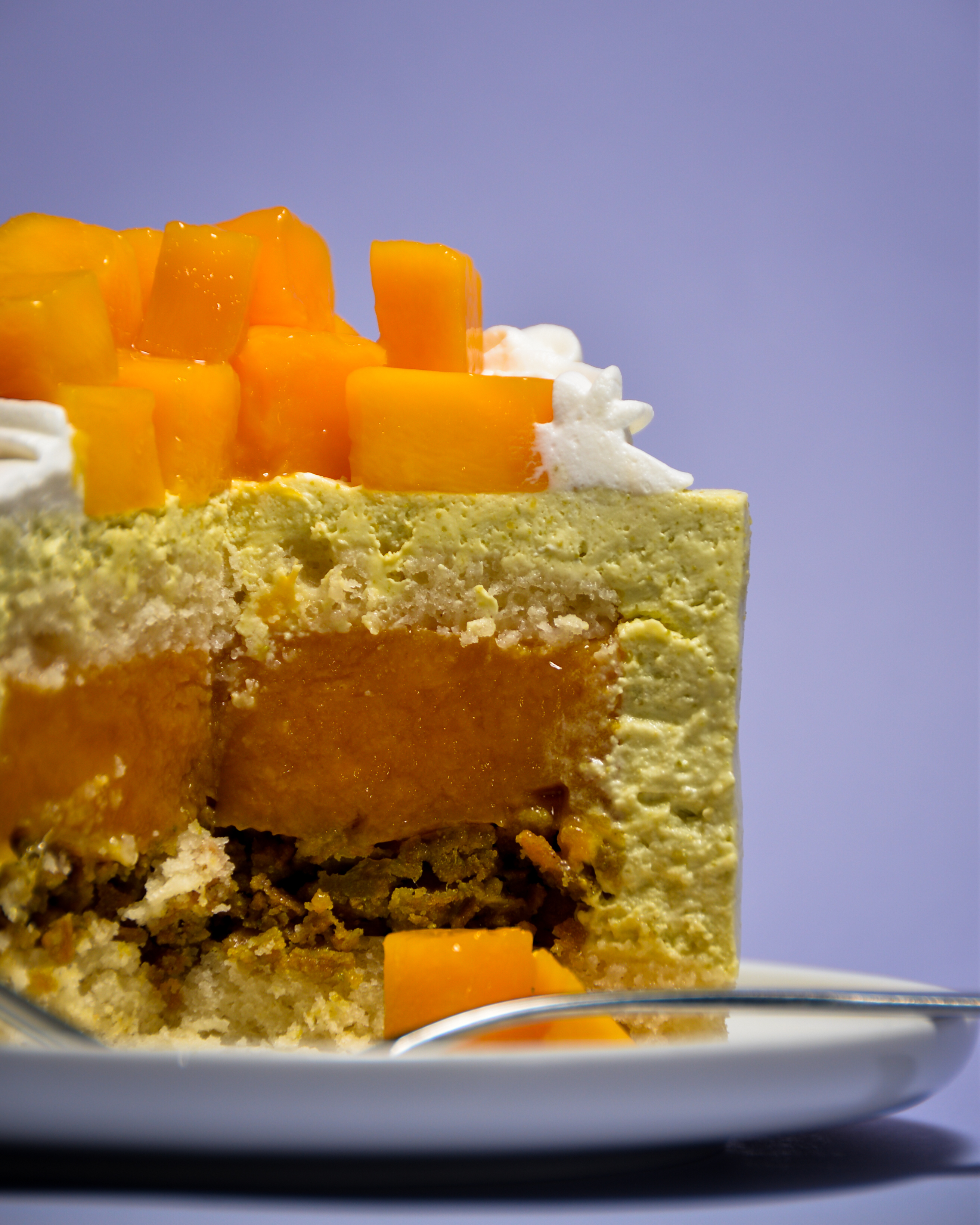 ﹝summer dreams💭﹞