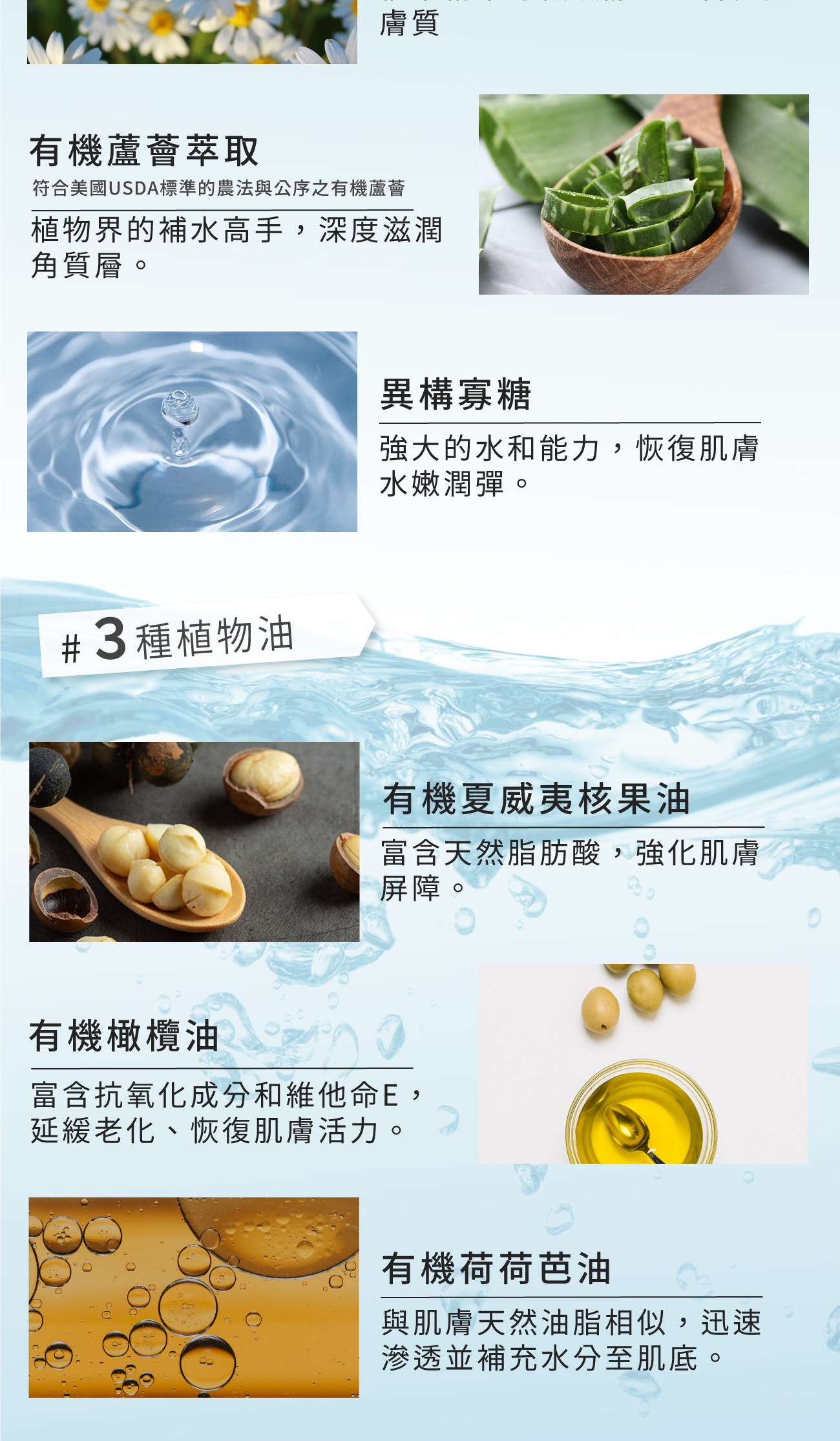 洋甘菊潤采保濕霜商品成分