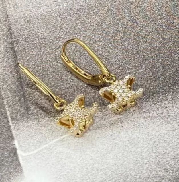 Celine Triomphe Solitaire Sparkle Earrings