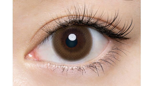 Flanmy 1 Day (Kinako Roll)(10片)