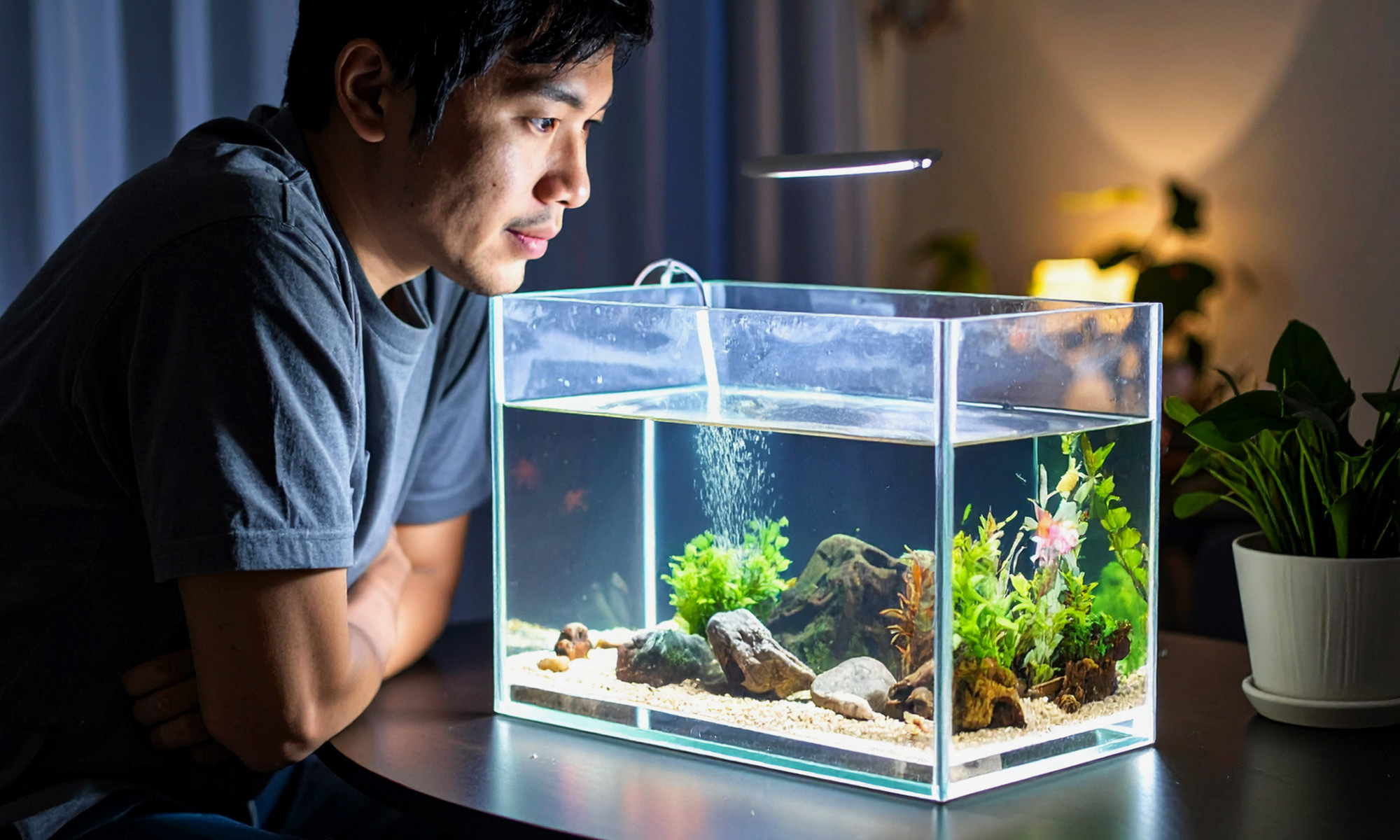 颱風天電線被吹斷，家裡突然停電了！這時候看著心愛的魚兒在魚缸裡，是不是會讓人超級焦慮？