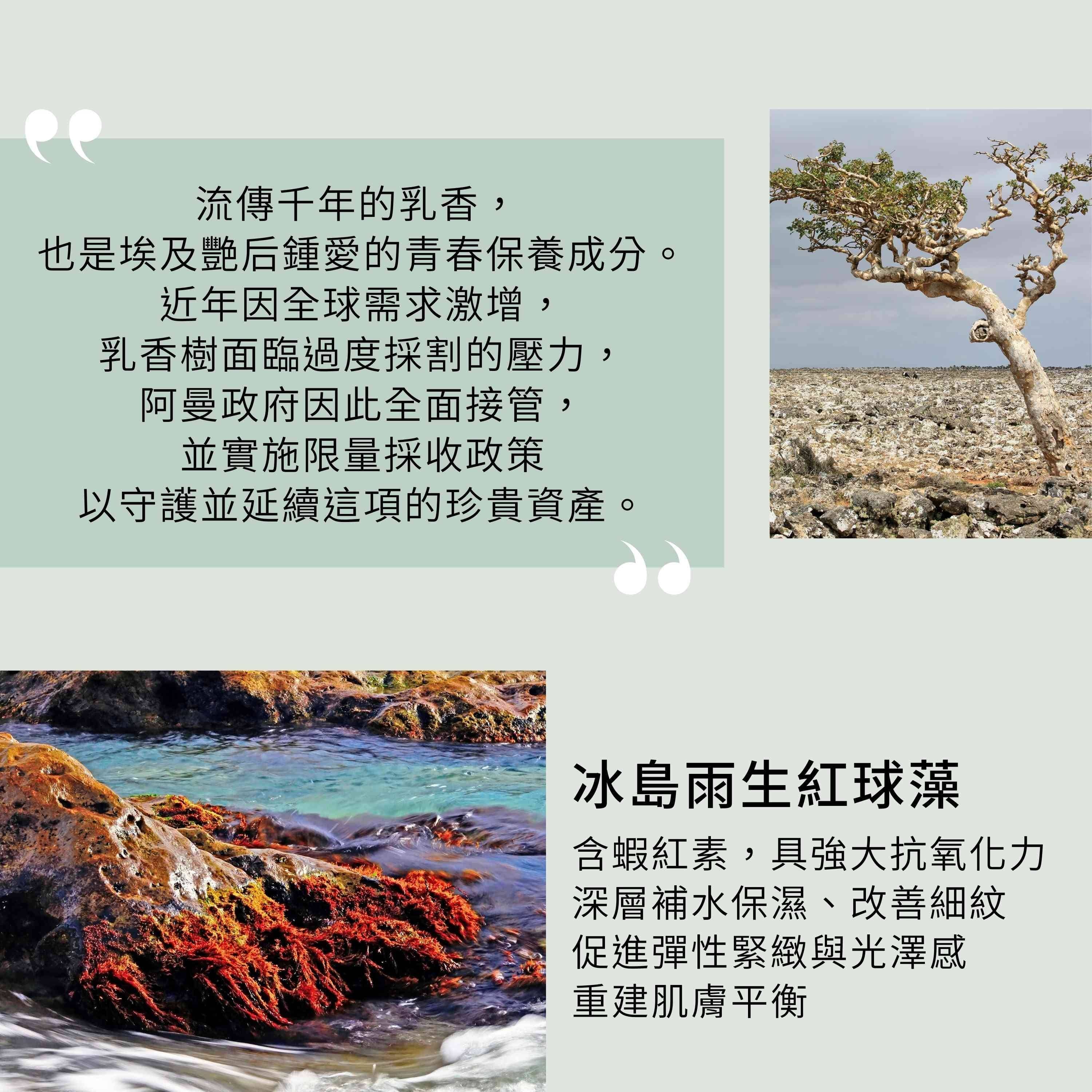 乳香奇蹟精華液包含阿曼乳香純露與冰島雨生紅球藻2大抗老緊緻能量