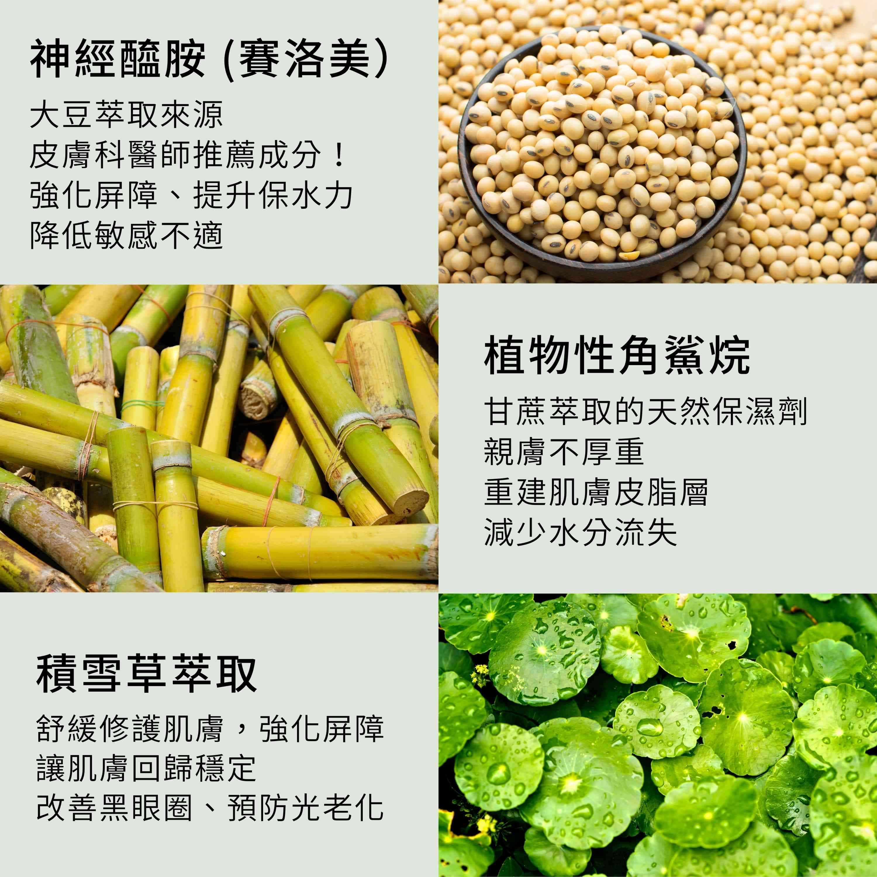 抗老煥采精華組含5重潤澤修復精華,包含植物性角鯊烷、神經醯胺與積雪草萃取