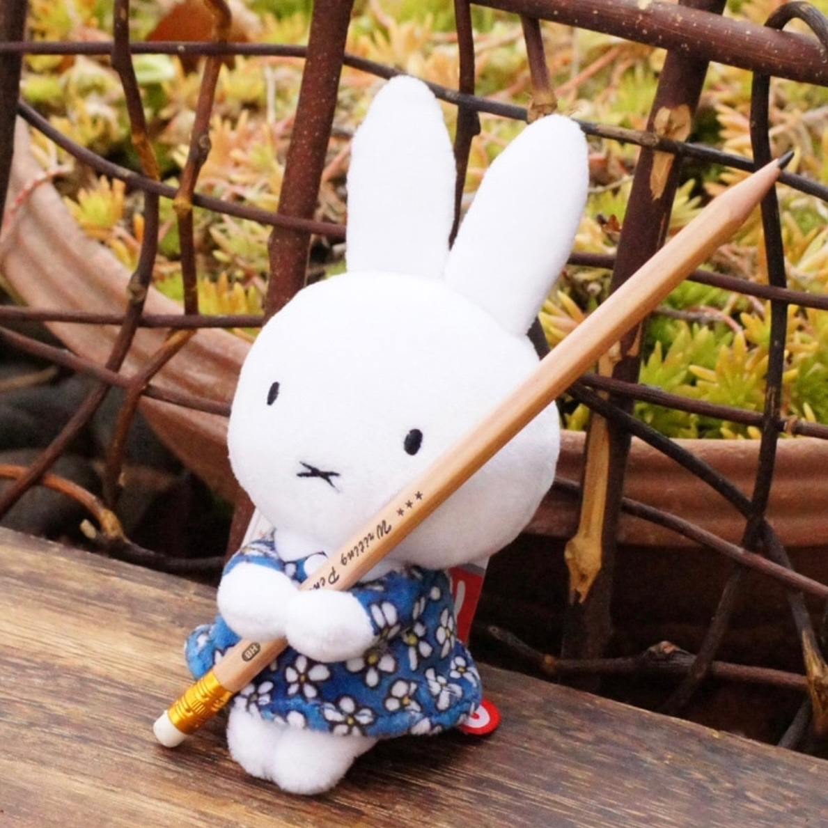 MIFFY 米菲兔 生日花裙 造型玩偶 坐姿 筆架 藍衣服 日本代購