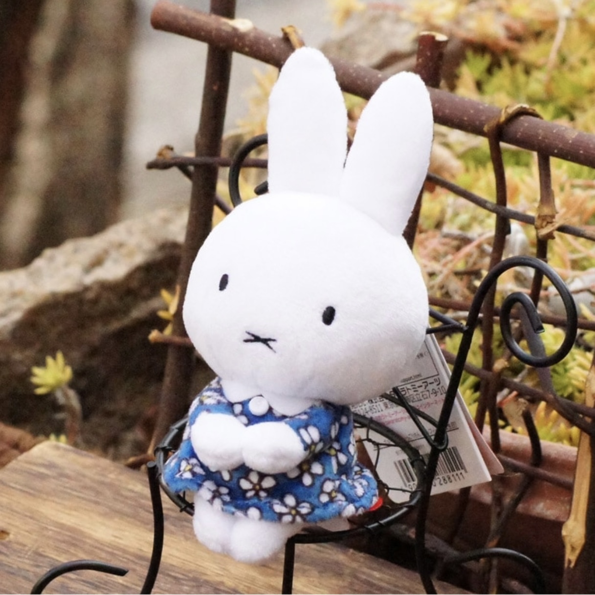 MIFFY 米菲兔 生日花裙 造型玩偶 坐姿 筆架 藍衣服 日本代購