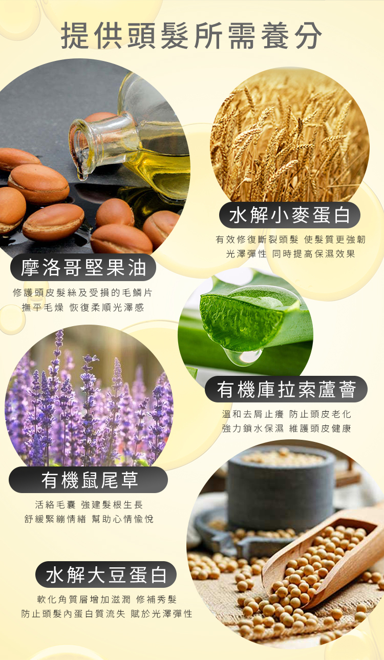 護髮打底噴霧,造型前抗熱噴霧,乾髮濕髮適用護髮,摩洛哥堅果油護髮,蘆薈保濕噴霧,自然捲毛躁護髮,補水抗靜電噴霧,免沖洗護髮推薦,熱工具造型護髮,柔順不打結護髮產品,大豆蛋白護髮,水解蛋白修護,有機成分護髮,輕盈不黏膩護髮,頭髮防曬保護,染燙髮修護,修