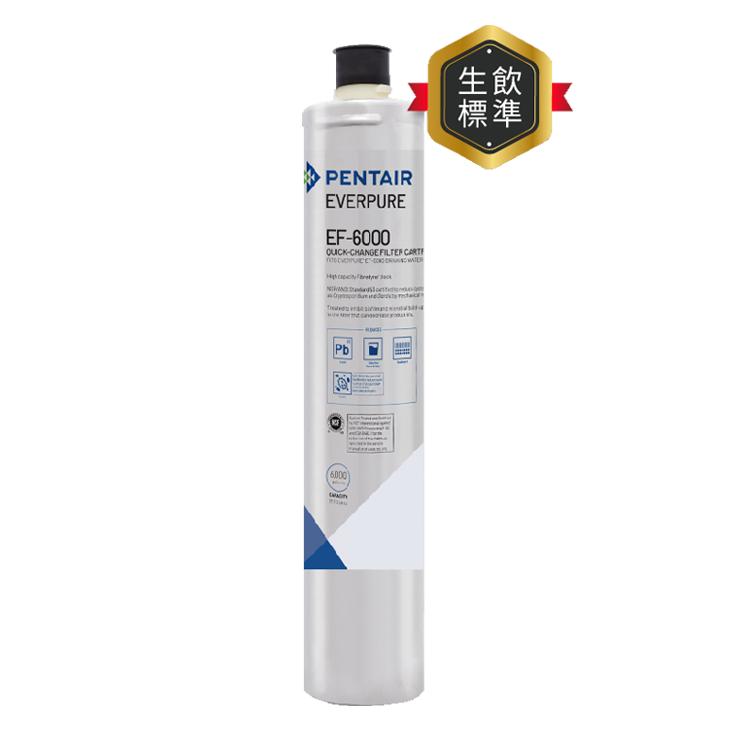 (預購)EVERPURE 愛惠浦 全流量碳纖維 EF系列 濾芯耗材 DIY更換/需安裝另計 (EF6000/EF-6000)