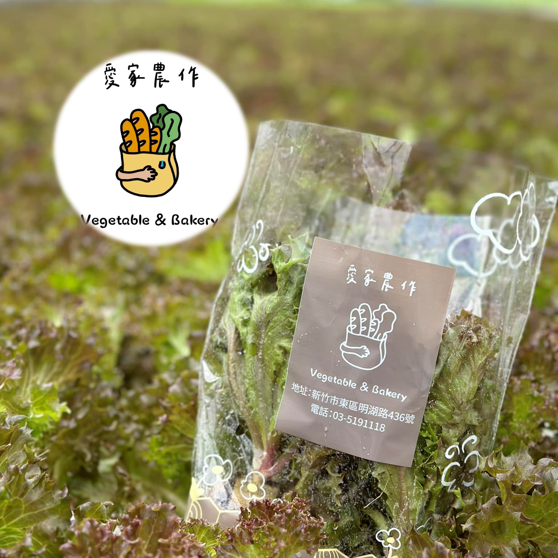 (團購)愛家農作(12/18到貨)