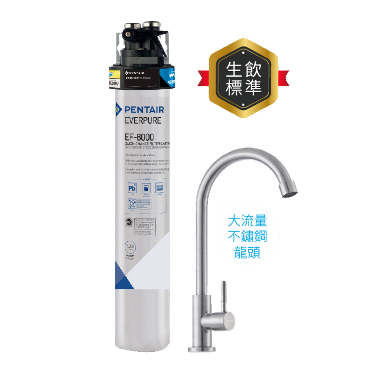 (可議價)EVERPURE 愛惠浦 全流量碳纖維 EF系列 淨水設備 含安裝 (PurVive-EF6000)