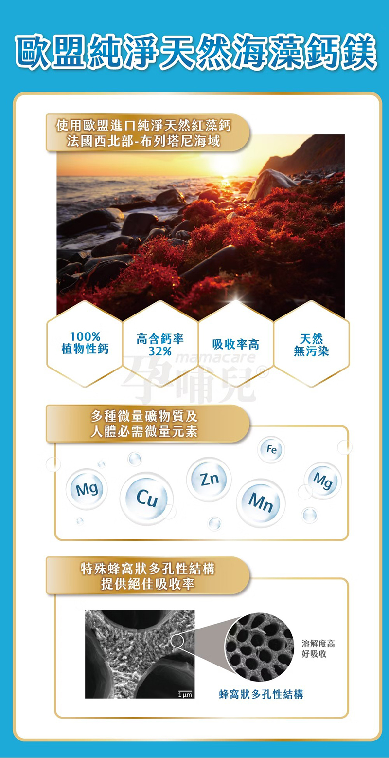 孕哺兒，新一代 BP 媽媽鈣片＋D咀嚼片