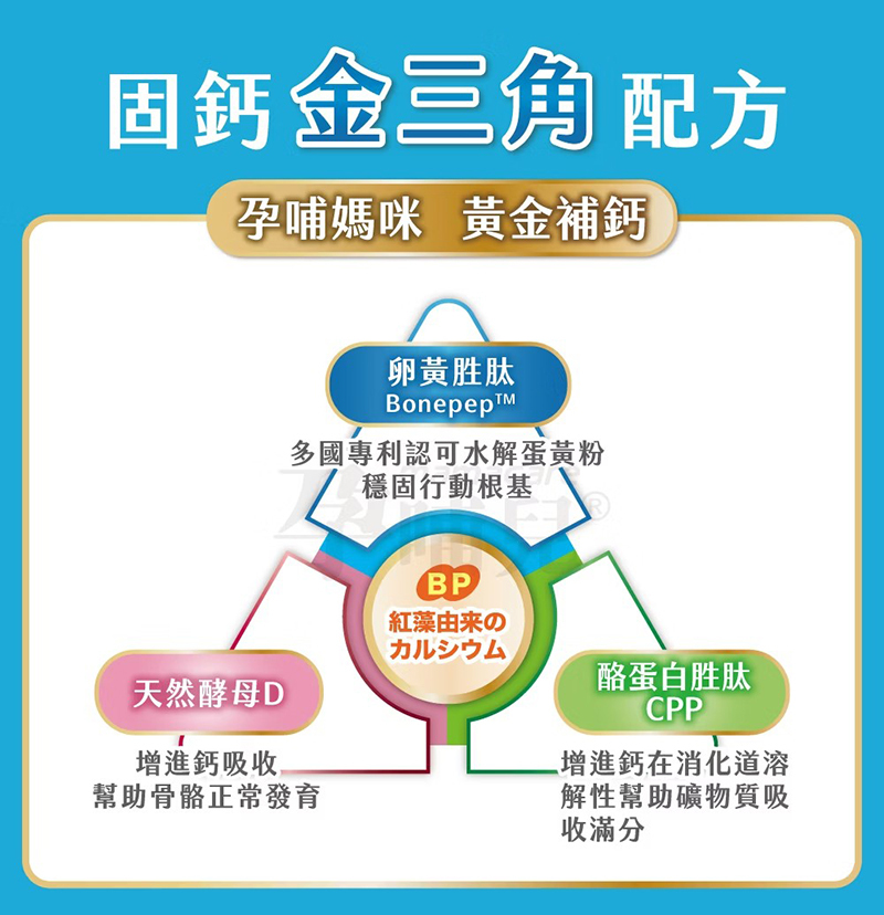 孕哺兒，新一代 BP 媽媽鈣片＋D咀嚼片
