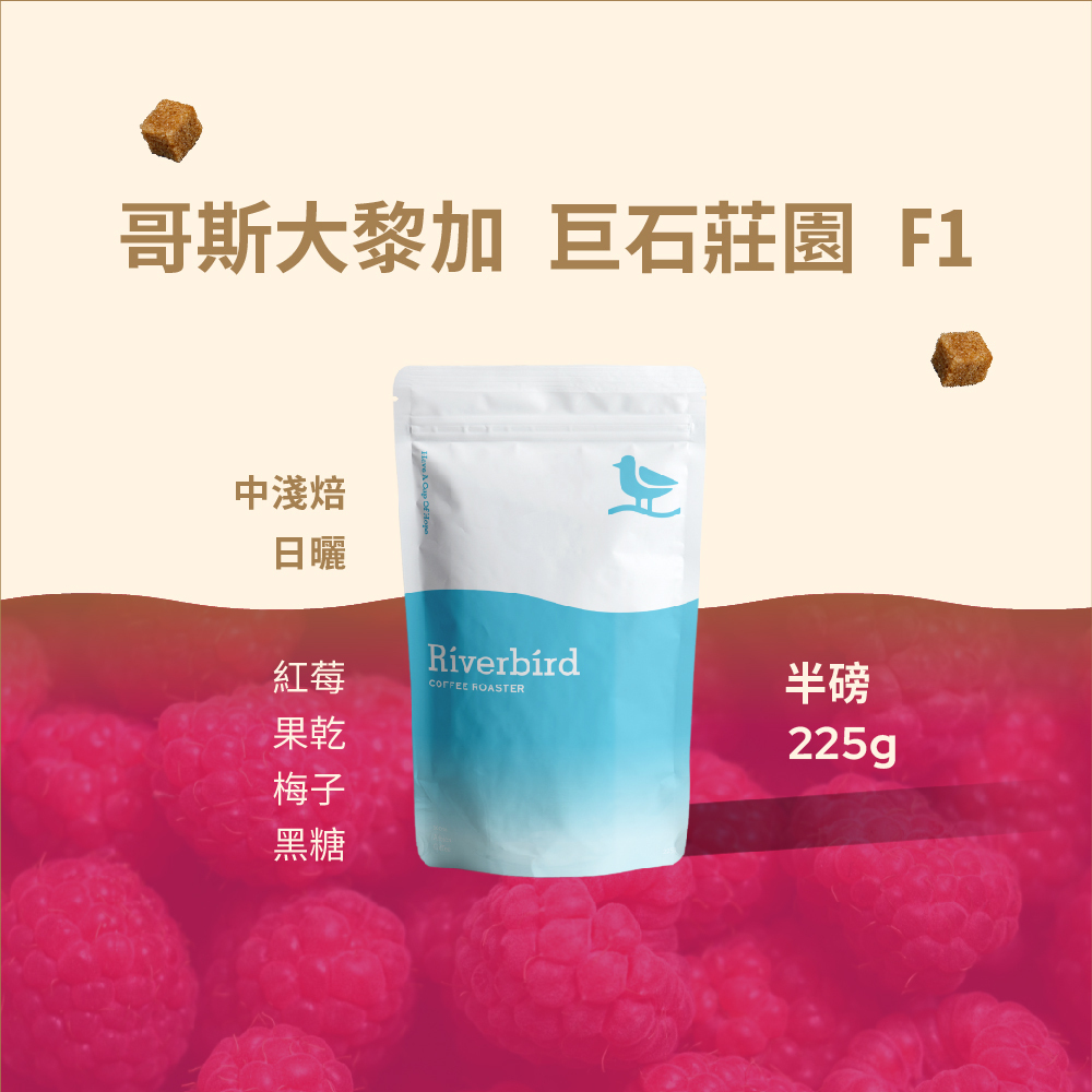 【Riverbird】《225g》哥斯大黎加 巨石莊園 F1 中淺焙