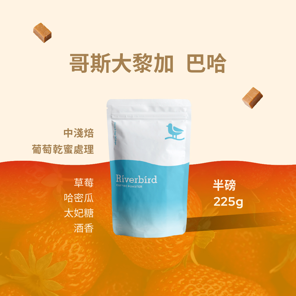 【Riverbird】《225g》哥斯大黎加 巴哈 中淺焙