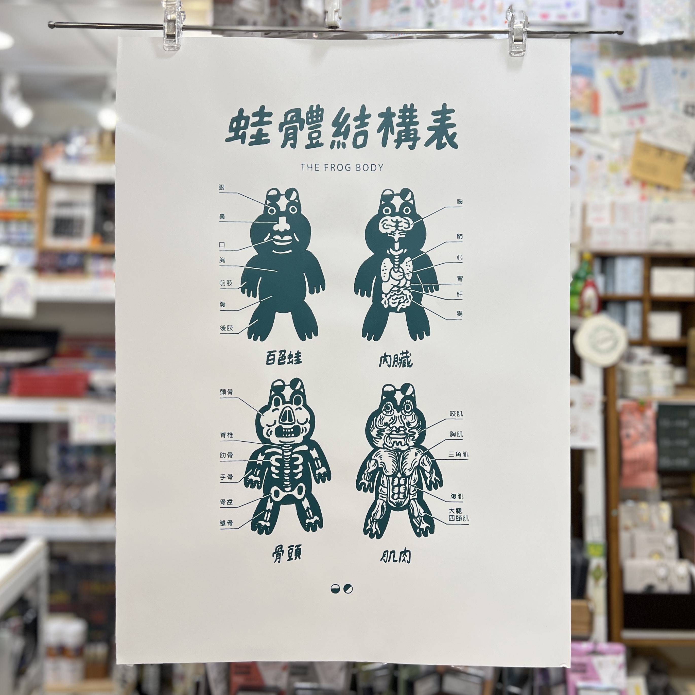 百色美術｜百色蛙《蛙體結構表》絹印海報 墨綠款