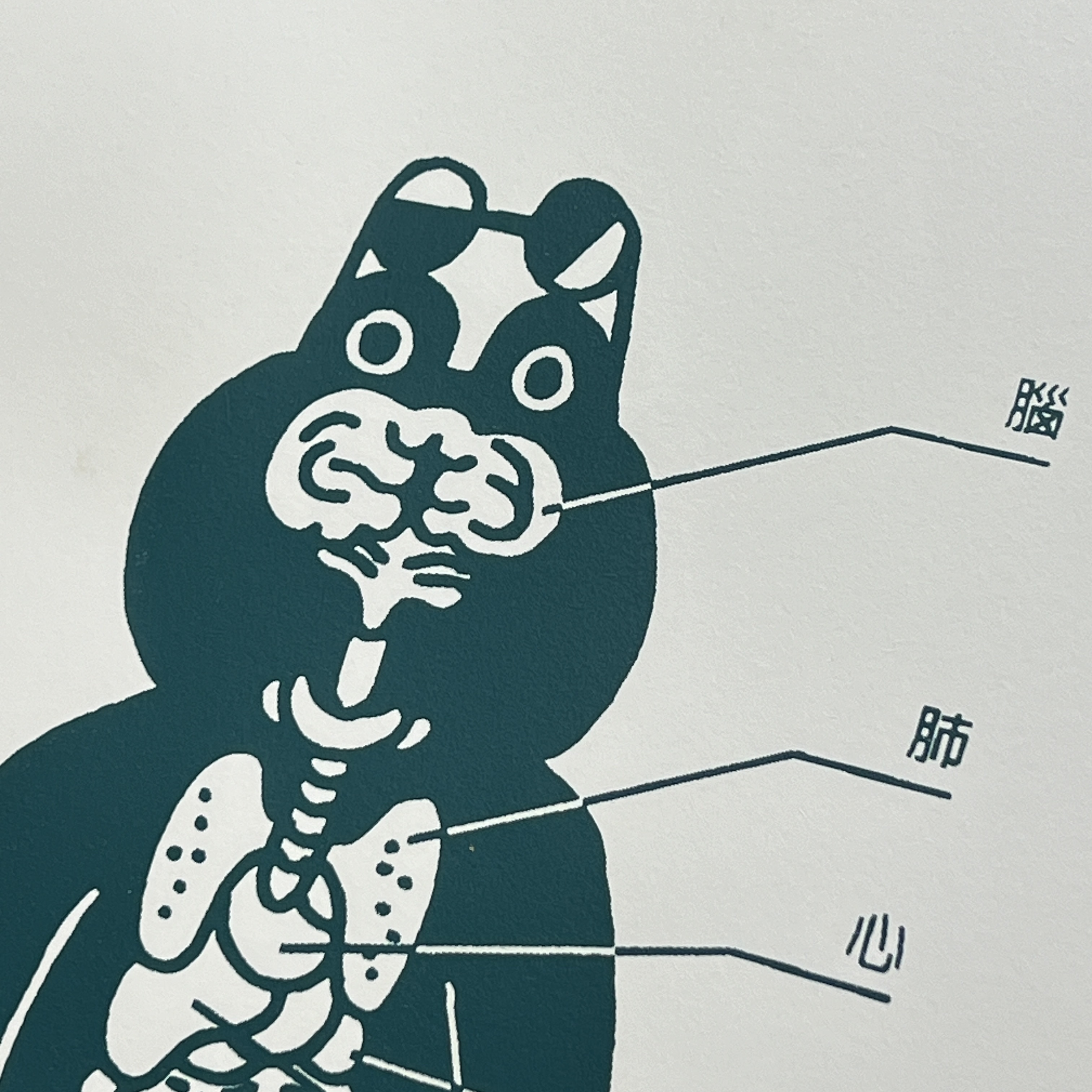 百色美術｜百色蛙《蛙體結構表》絹印海報 墨綠款
