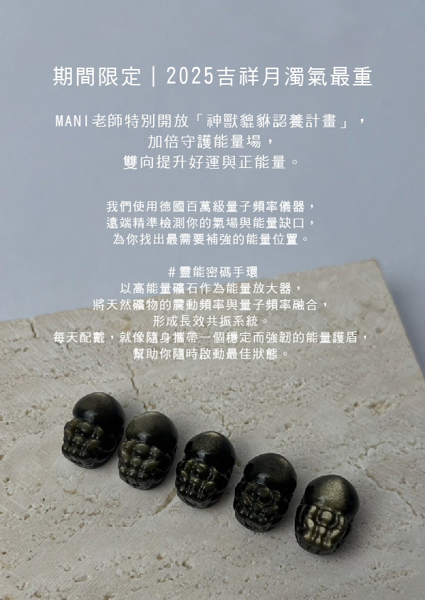 2025限定神獸貔貅-靈能密碼手環