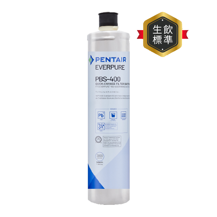 EVERPURE 愛惠浦 除鉛碳纖維 PBS系列 濾芯耗材 DIY更換/需安裝另計(PBS400/PBS-400)