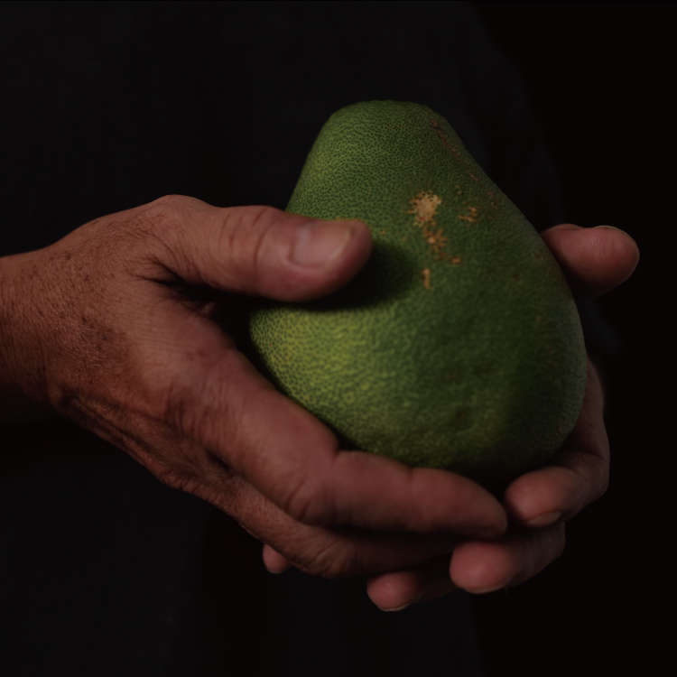 碩果僅存 1%奇蹟的禮物