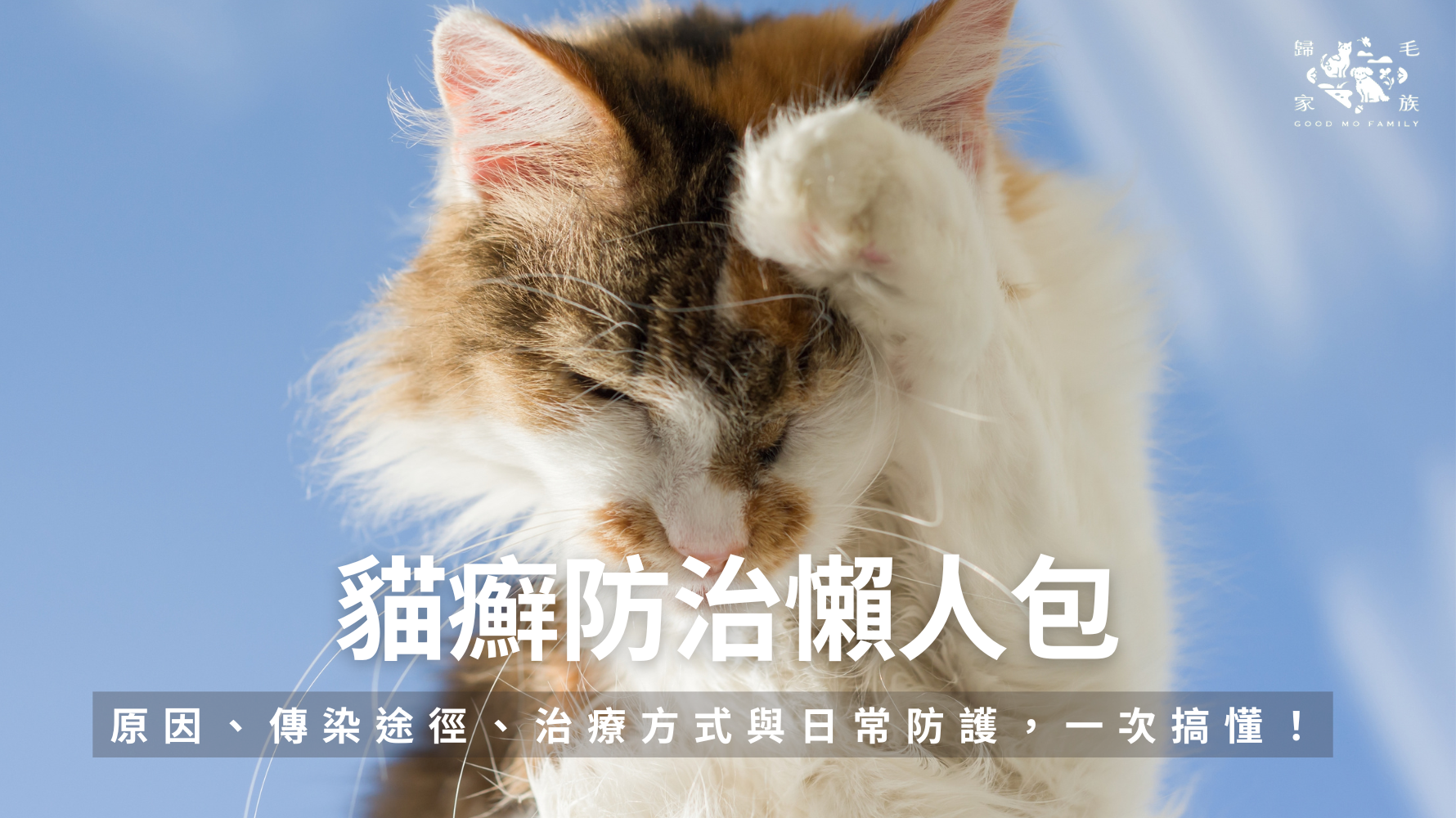 貓癬是貓咪常見、具「高度傳染力」的皮膚疾病，不僅影響外觀，甚至可能傳染給家長。 正確認識症狀與預防方法，是每位寵物家長的基本功。讓我們一起透過本篇文章，了解從結痂診斷、貓禿毛，到預防及日常管理吧！
