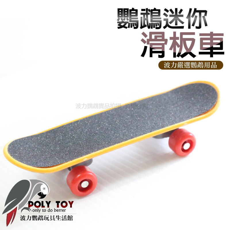 鸚鵡迷你滑板車 鸚鵡玩具 波力鸚鵡玩具生活館