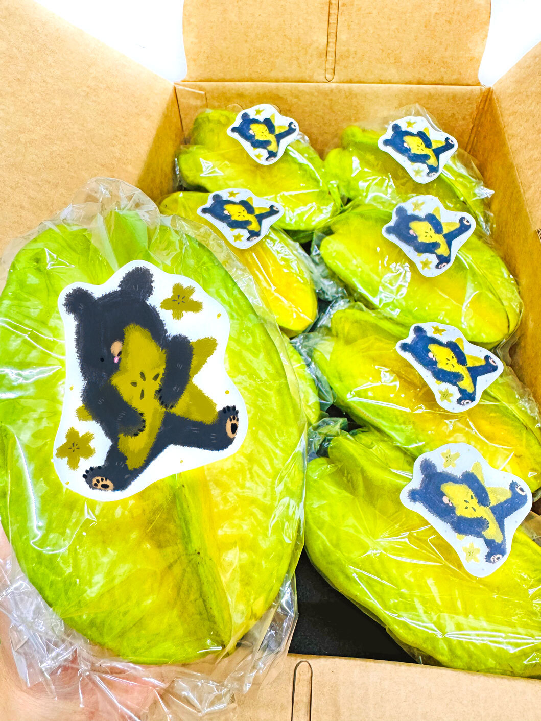 格紋芒果熊楠西密枝楊桃禮盒特級大8粒5台斤裝(9-13台兩/粒)