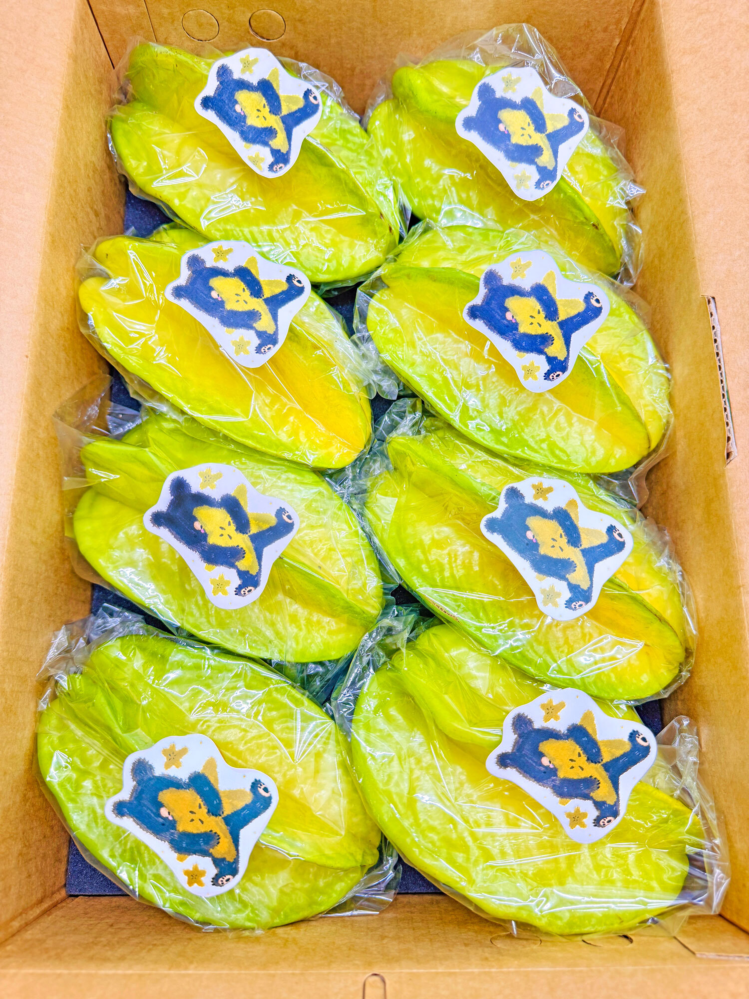 格紋芒果熊楠西密枝楊桃禮盒特級大8粒5台斤裝(9-13台兩/粒)