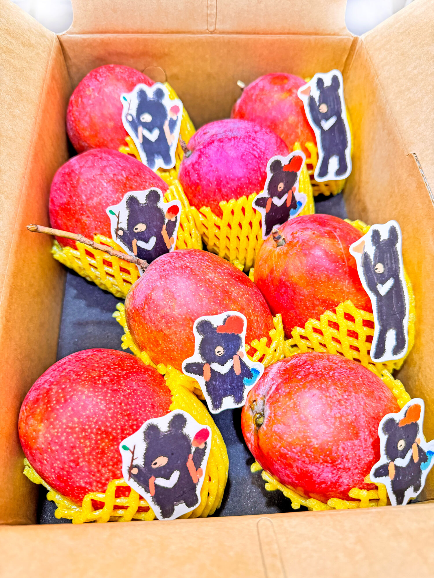 山林遠足熊玉井愛文芒果禮盒特級8粒5台斤裝(10-11台兩/粒)