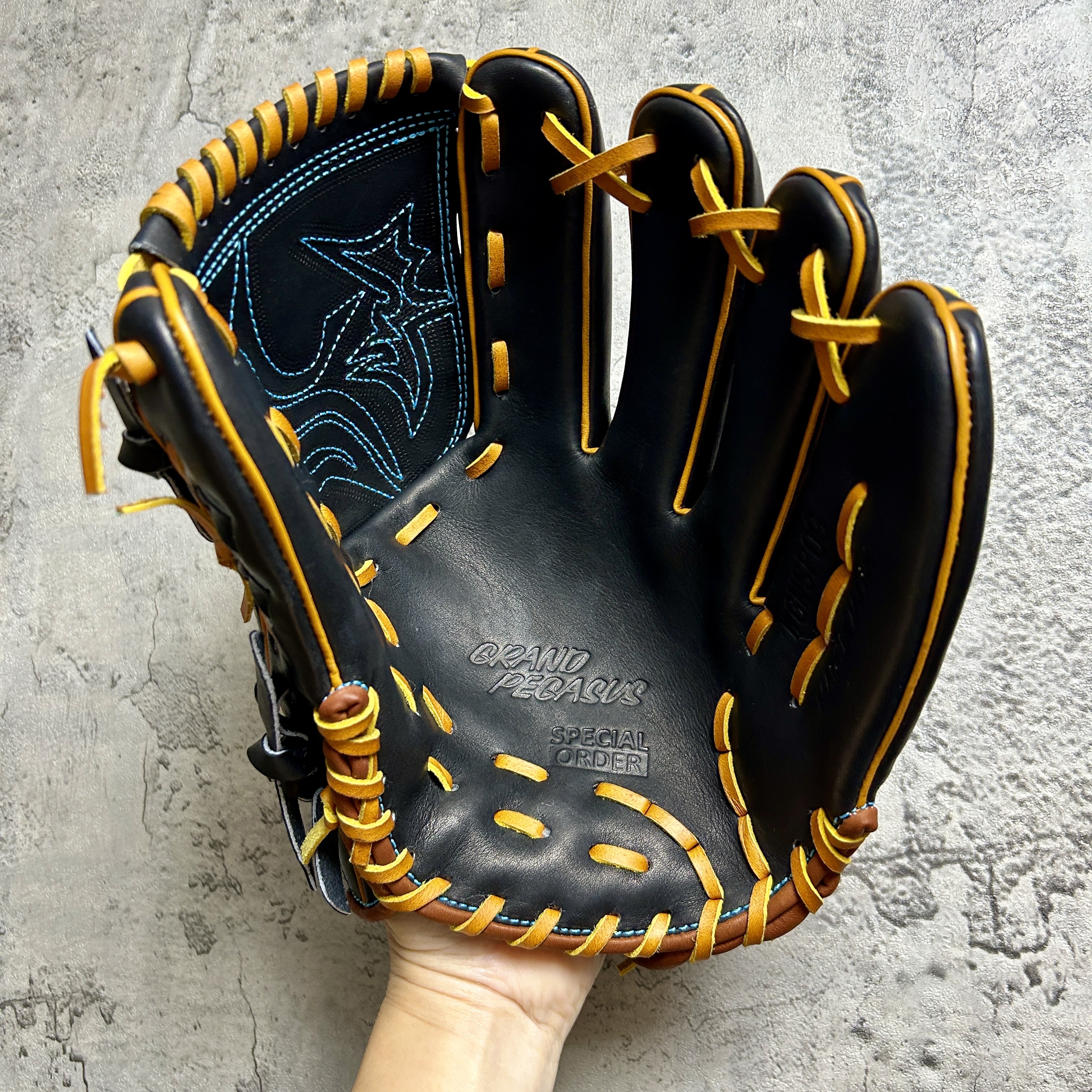 【照片分享】WorldPegasus 獨角獸 軟式 投手 WGK4GP11