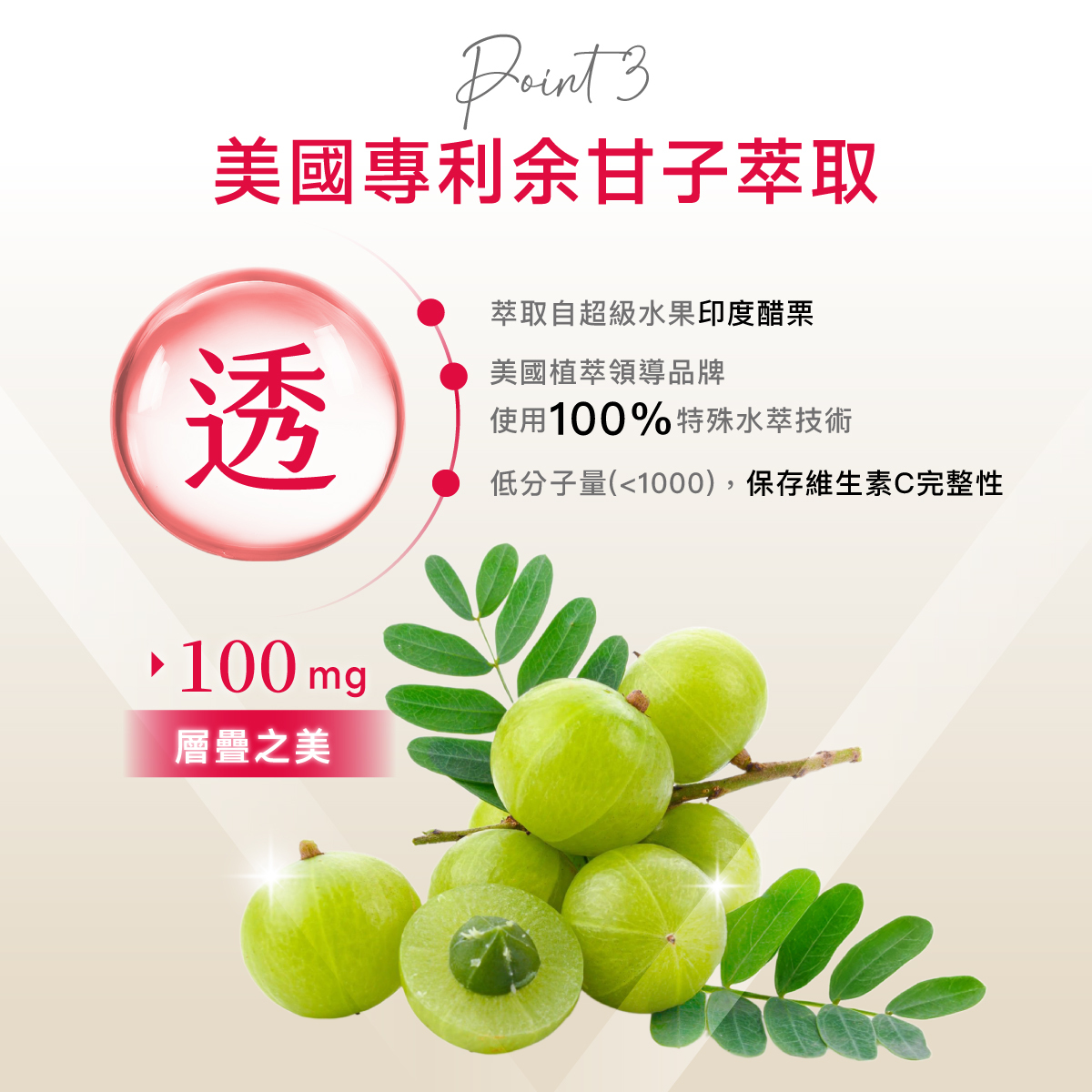 美國.余甘子.維生素C.維他命C.100mg